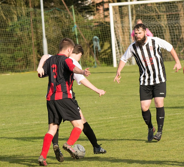 无论泰山队 无论泰山队